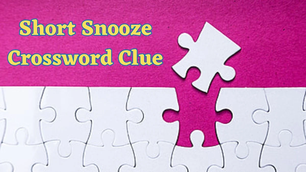 Short Snooze Daily Commuter Crossword Clue Puzzle Answer from July 02, 2024