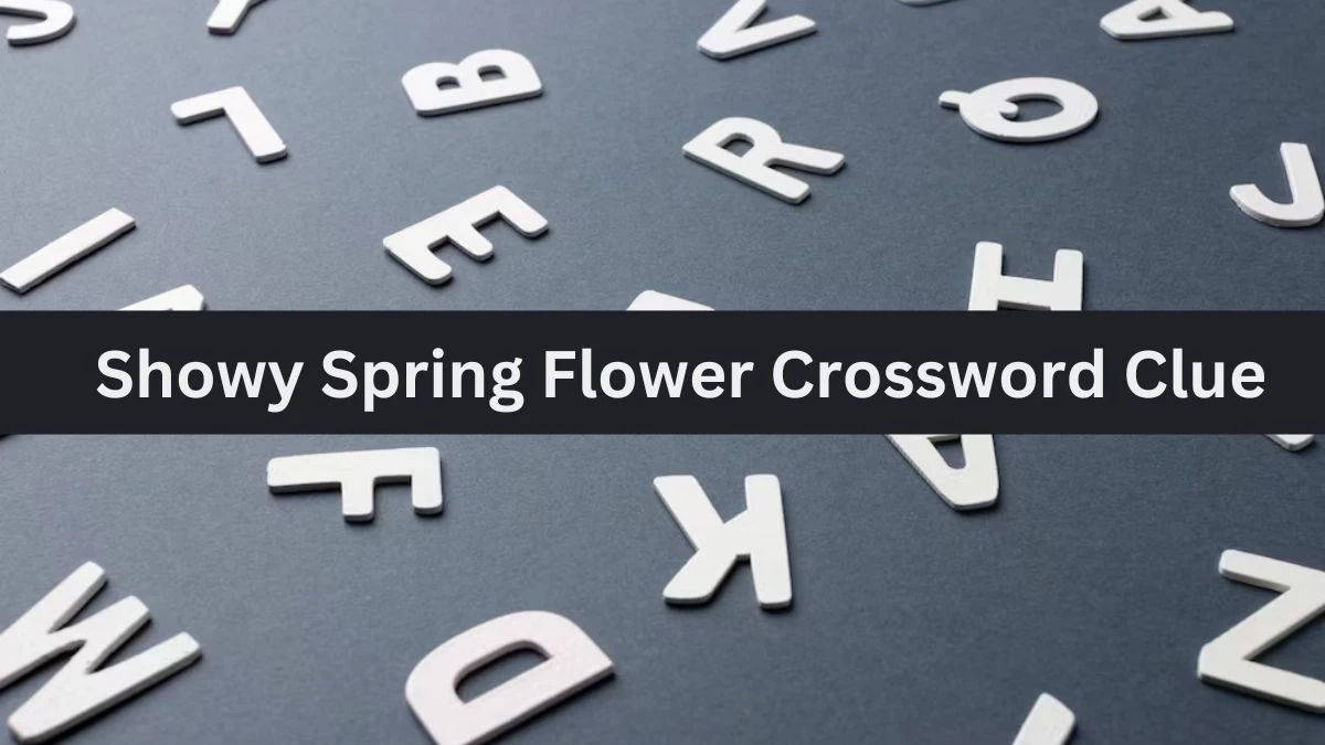 Showy Spring Flower Daily Commuter Crossword Clue Puzzle Answer from July 06, 2024