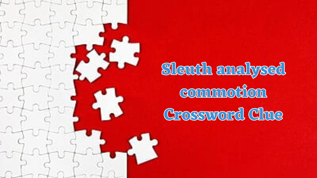 Sleuth analysed commotion Crossword Clue Answers on July 24, 2024