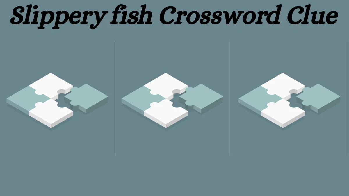 Slippery fish Daily Commuter Crossword Clue Puzzle Answer from July 03, 2024