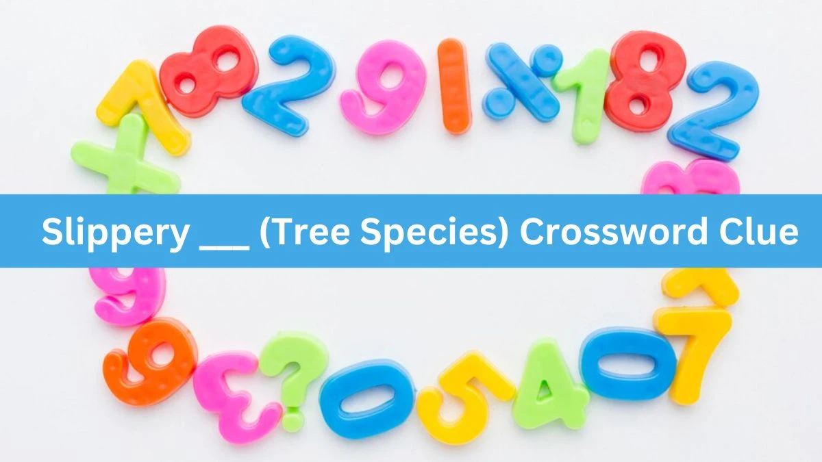 Daily Themed Slippery ___ (Tree Species) Crossword Clue Puzzle Answer from July 18, 2024