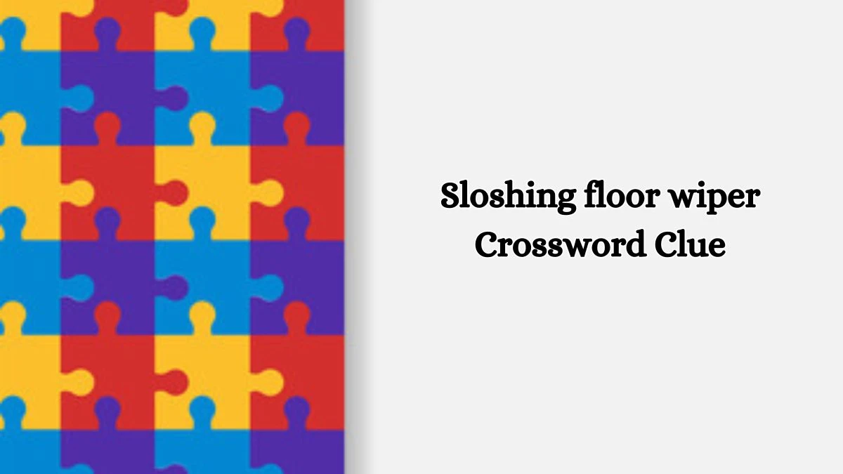 Sloshing floor wiper Daily Themed Crossword Clue Answers on July 11, 2024