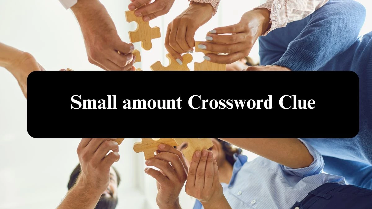 Small amount Daily Themed Crossword Clue Puzzle Answer from July 29, 2024