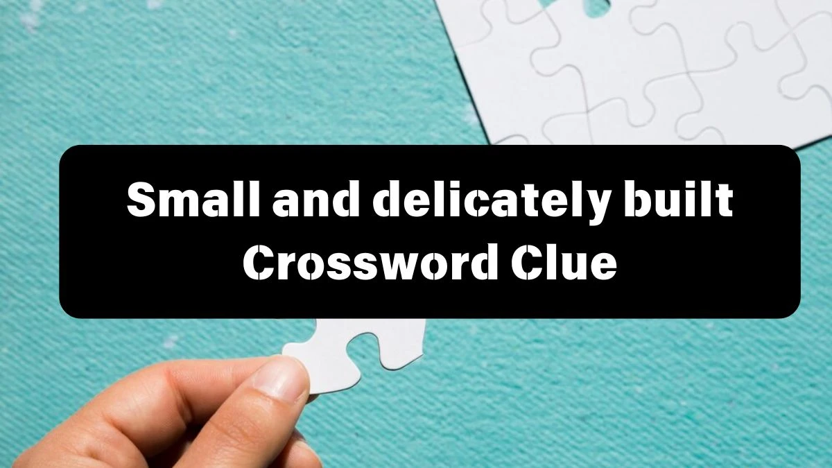 Irish Daily Mail Quick Small and delicately built Crossword Clue 6 Letters Puzzle Answer from July 11, 2024