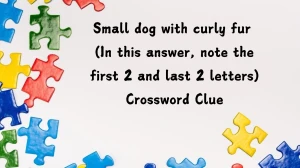 Small dog with curly fur (In this answer, note the first 2 and last 2 letters) Universal Crossword Clue Puzzle Answer from July 12, 2024