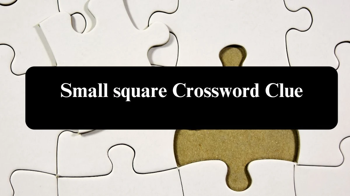 Small square Crossword Clue Puzzle Answer from July 30, 2024