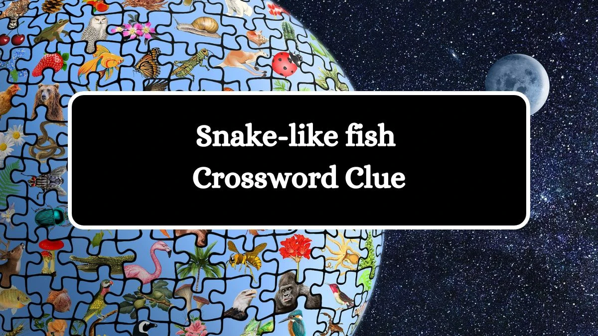 Snake-like fish Daily Themed Crossword Clue Puzzle Answer from July 11, 2024