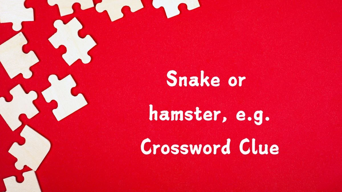 Daily Commuter Snake or hamster, e.g. Crossword Clue 3 Letters Puzzle Answer from July 29, 2024