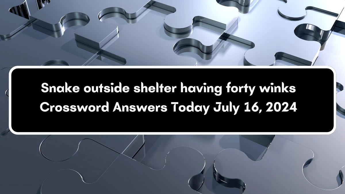 Snake outside shelter having forty winks Crossword Clue Answers on July 16, 2024