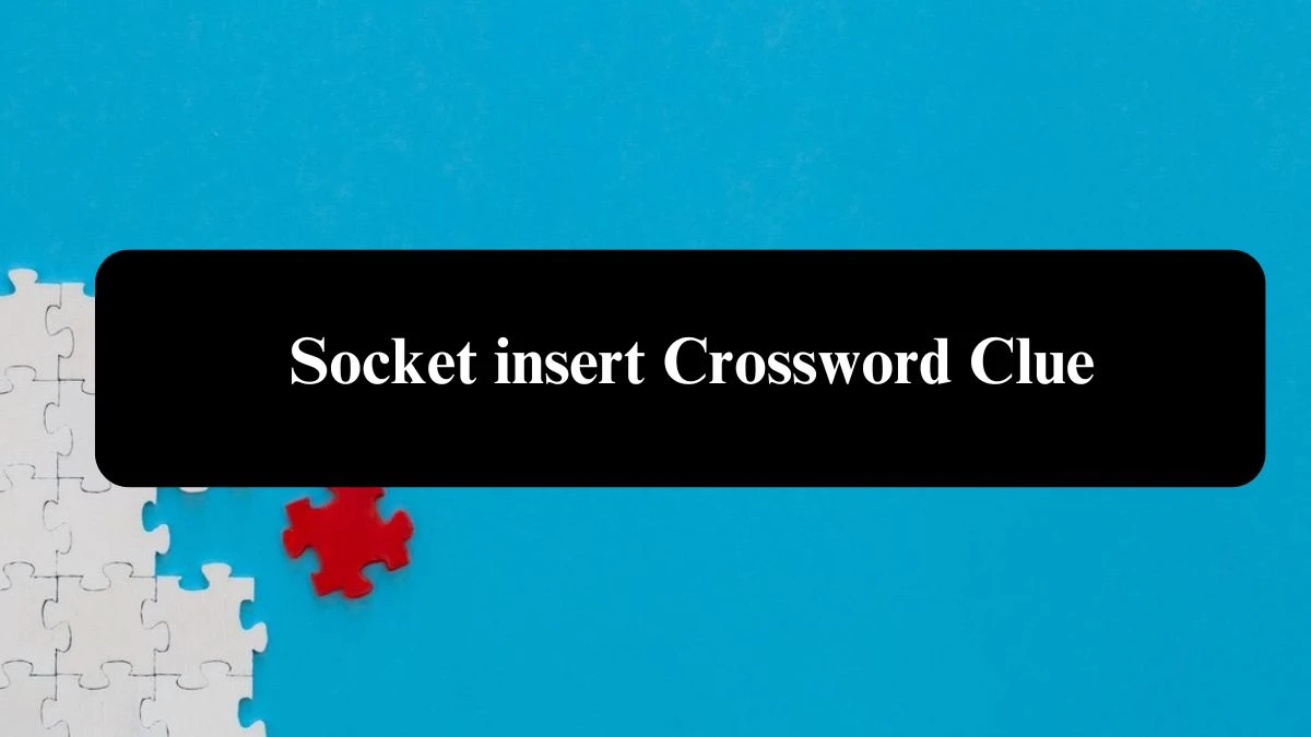 Socket insert Daily Themed Crossword Clue Answers on July 31, 2024