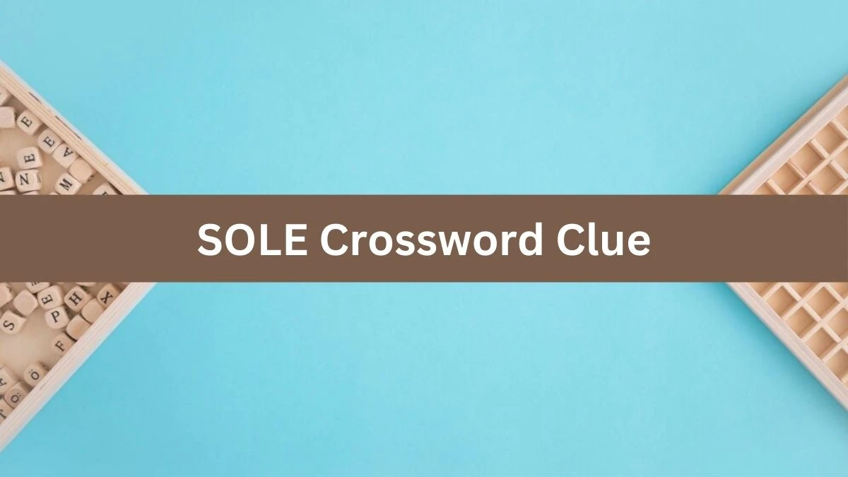 SOLE Daily Commuter Crossword Clue Puzzle Answer from July 13, 2024