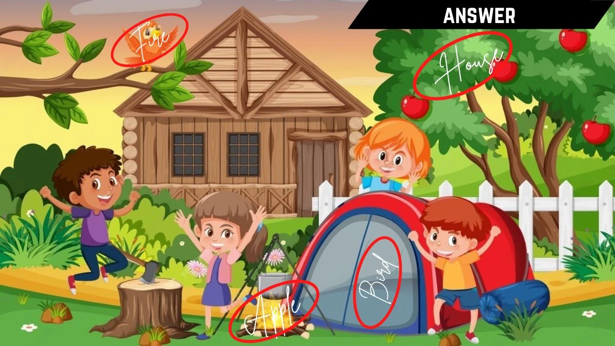 Genius IQ Test: Only 3 out of 10 Can Spot the 4 Hidden Words in this Camping Image in 8 Secs