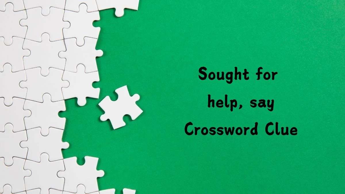 Sought for help, say NYT Crossword Clue Answer on July 13, 2024