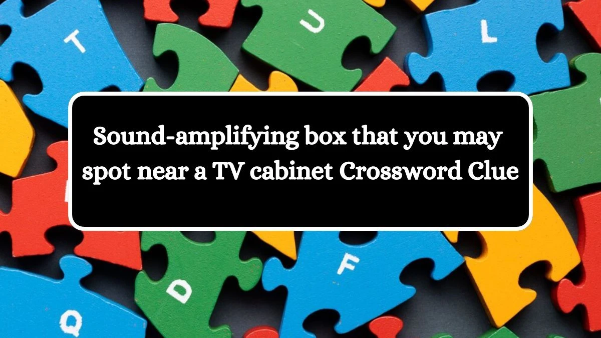 Daily Themed Sound-amplifying box that you may spot near a TV cabinet Crossword Clue Puzzle Answer from July 24, 2024