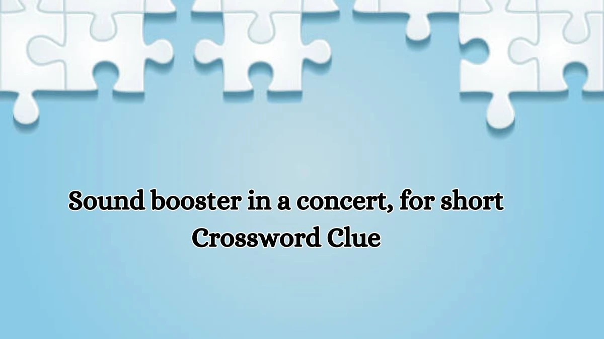 Daily Themed Sound booster in a concert, for short Crossword Clue Puzzle Answer from July 13, 2024