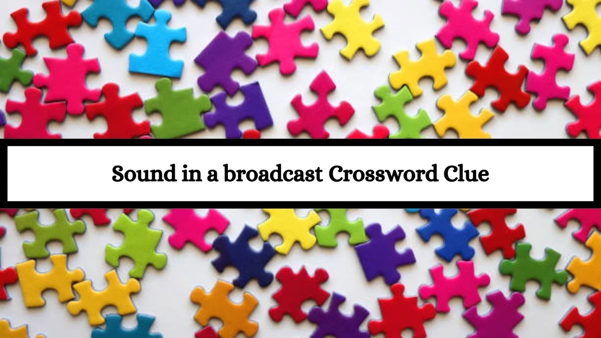 Sound in a broadcast Daily Commuter Crossword Clue Puzzle Answer from July 16, 2024