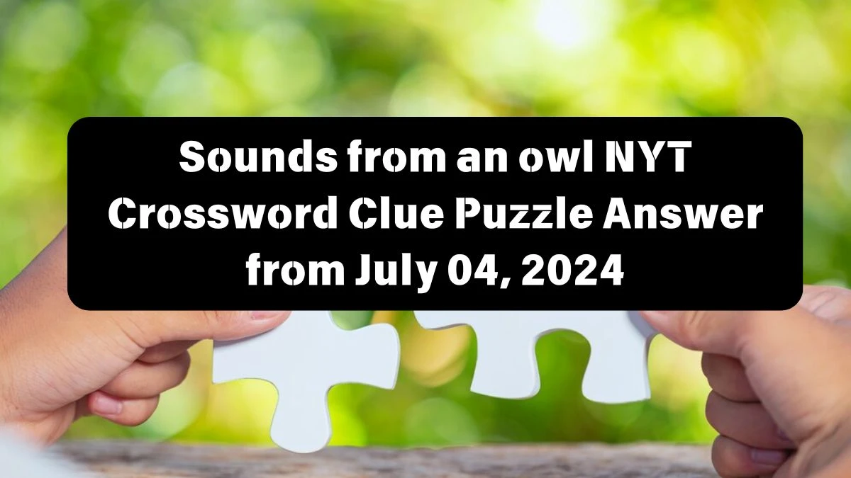 Sounds from an owl NYT Crossword Clue Puzzle Answer from July 04, 2024