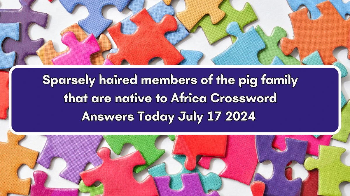 Sparsely haired members of the pig family that are native to Africa Crossword Clue Puzzle Answer from July 17, 2024