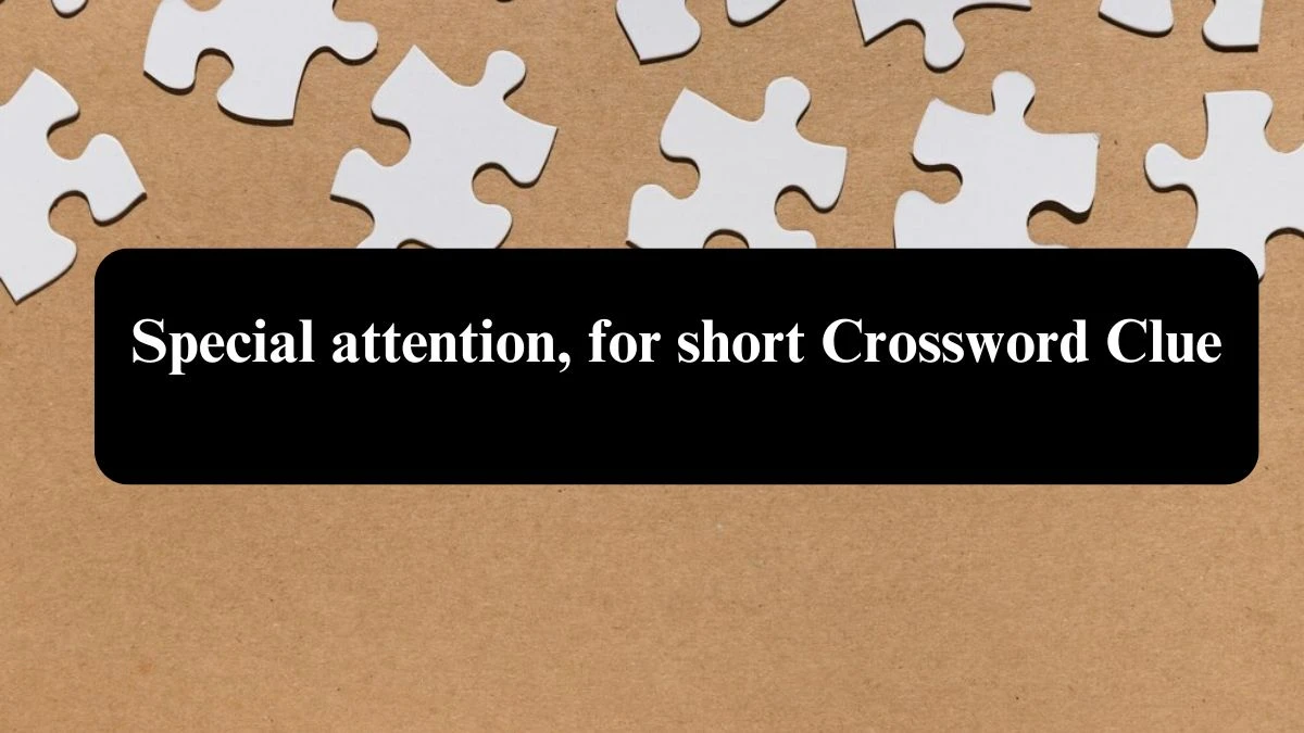 Special attention, for short Crossword Clue Puzzle Answer from July 31, 2024