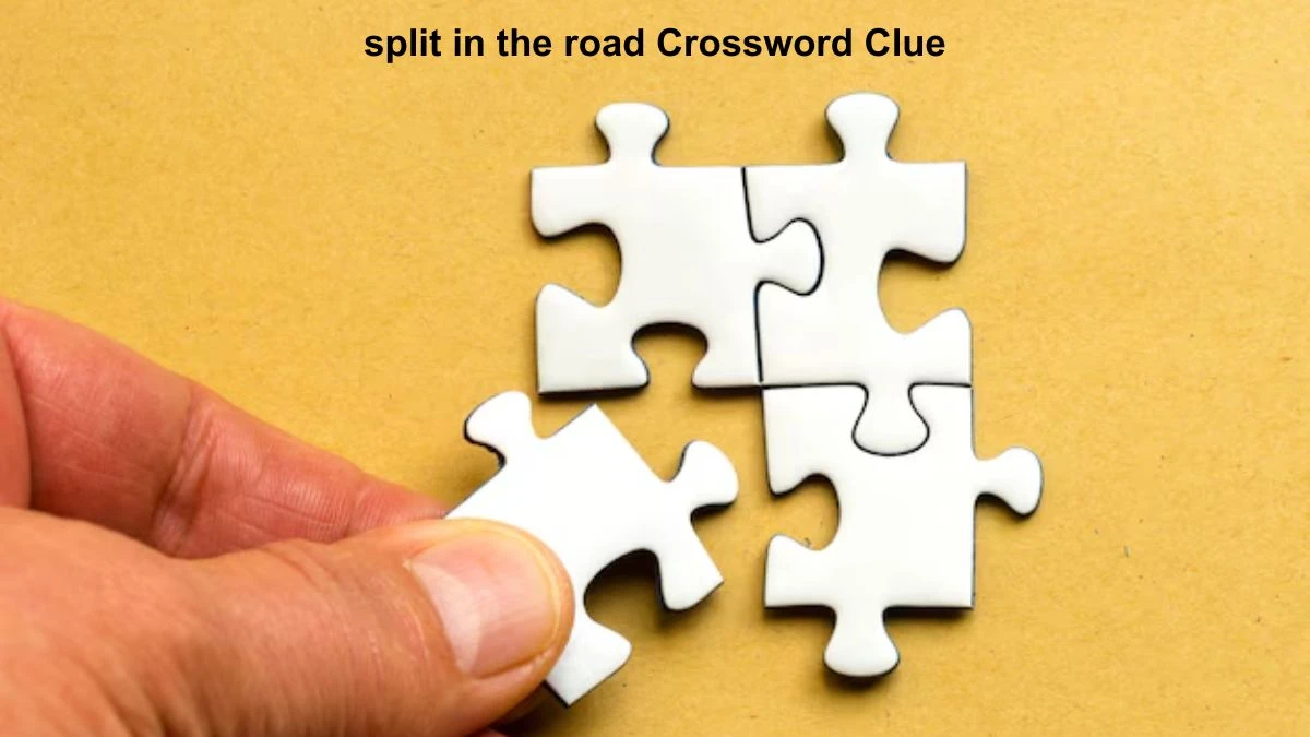 split in the road Crossword Clue Puzzle Answer from July 29, 2024