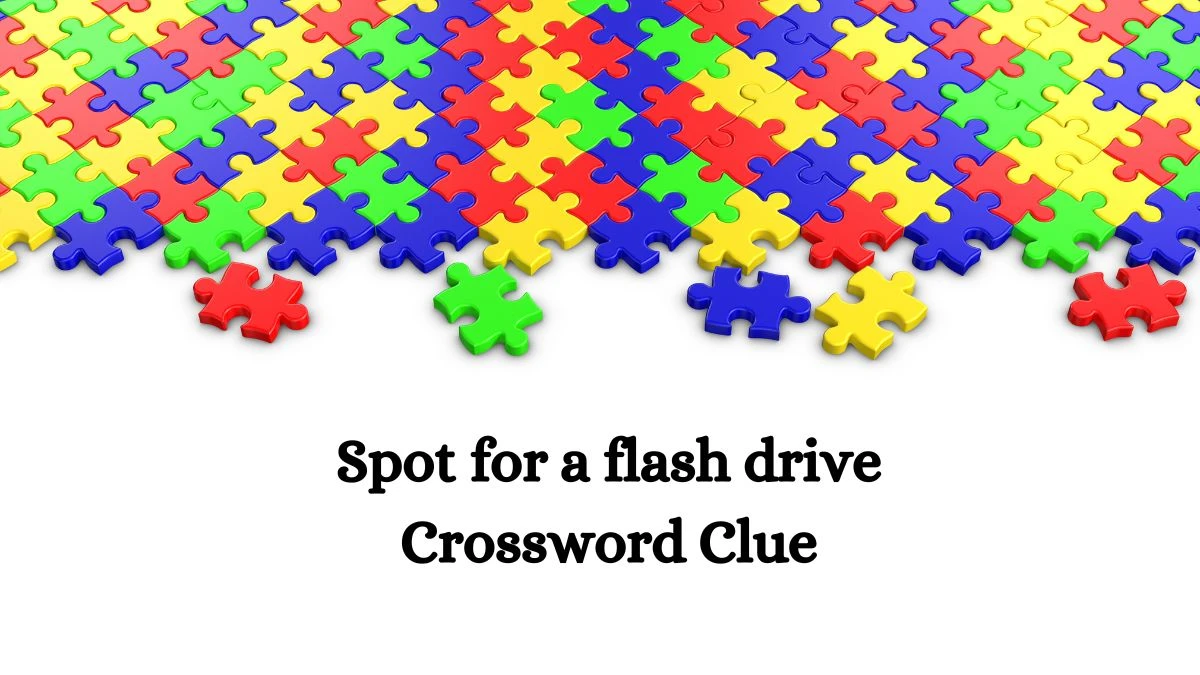 LA Times Spot for a flash drive Crossword Clue from July 23, 2024