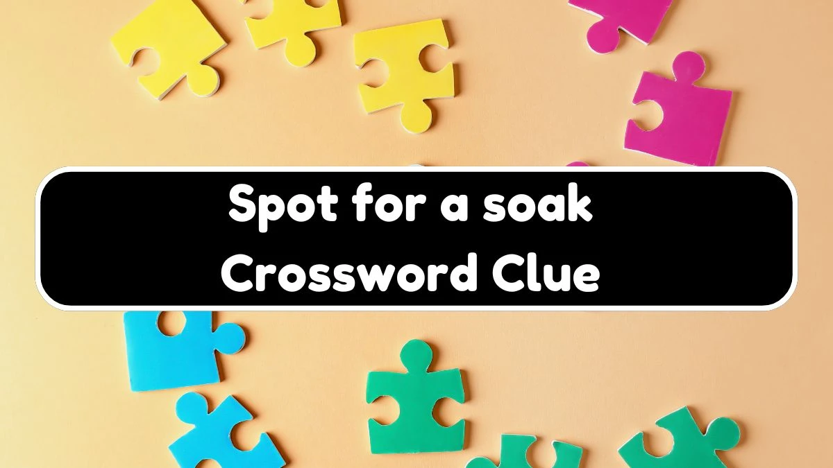 LA Times Spot for a soak Crossword Puzzle Answer from July 21, 2024