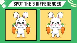 Spot the 3 Differences: Only Eagle Eyes People Can Spot the 3 Differences in this Rabbit Image in 9 Secs | Picture Puzzle Game