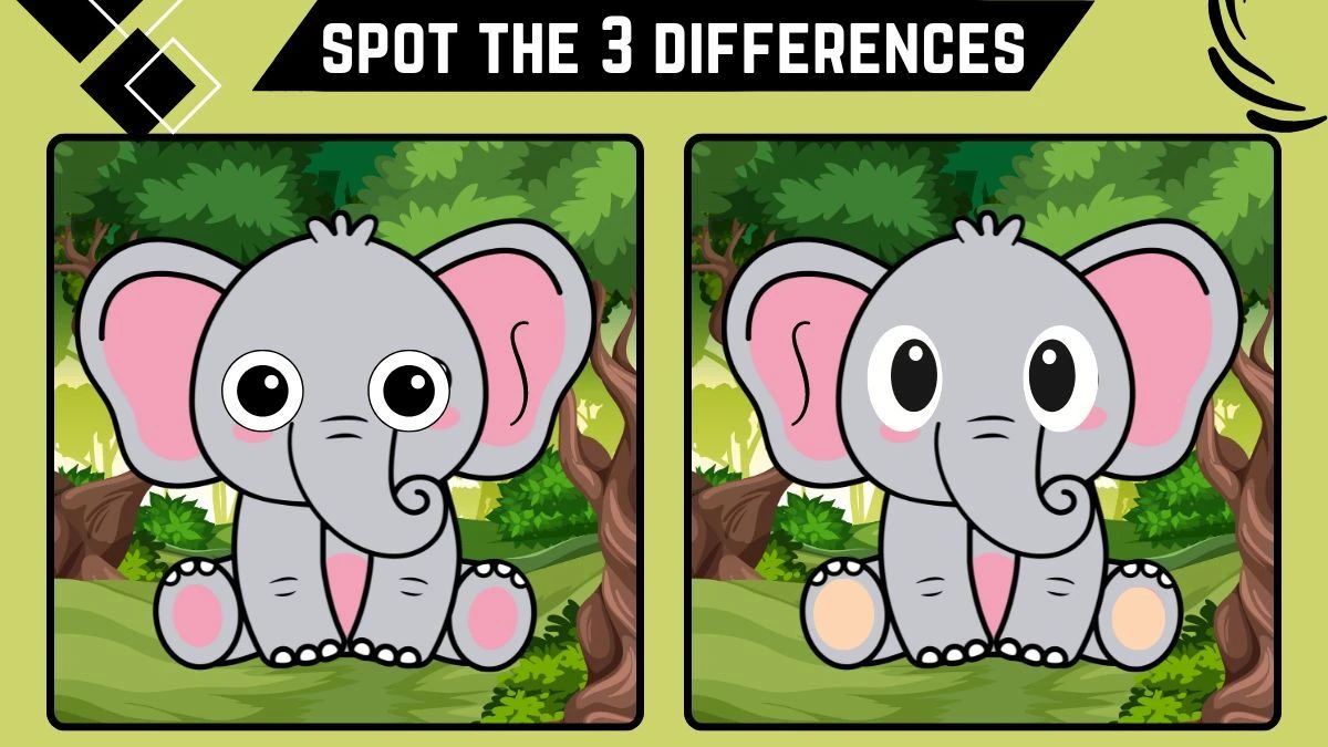 Spot the 3 Differences: Only Extra Sharp Eyes Can Spot the 3 Differences in this Baby Elephant Image in 9 Secs