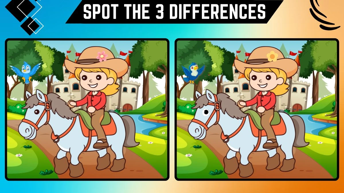 Spot the 3 Differences: Only Extra Sharp Eyes Can Spot the 3 Differences in this Horse Rider Image in 10 Secs | Picture Puzzle Game