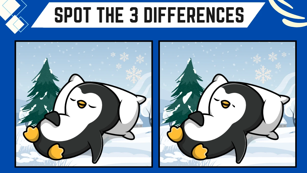 Spot the 3 Differences: Only People with 10/10 Vision Can Spot the 3 Differences in this Penguin Image in 8 Secs