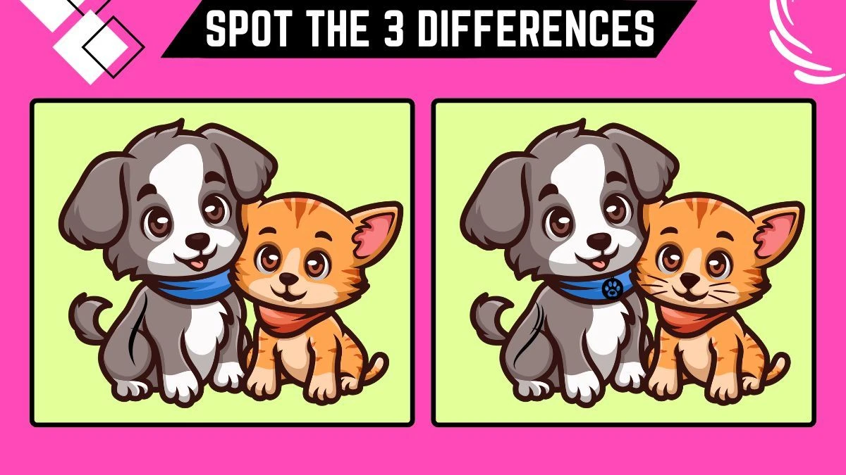 Spot the 3 Differences: Only People with Hawk Eyes Can Spot the 3 Differences in this Cat and Dog Image in 10 Secs