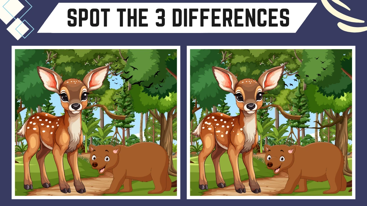 Spot the 3 Differences: Only People with Sharp Eyes Can Spot the 3 Differences in this Deer and Bear Image in 9 Secs