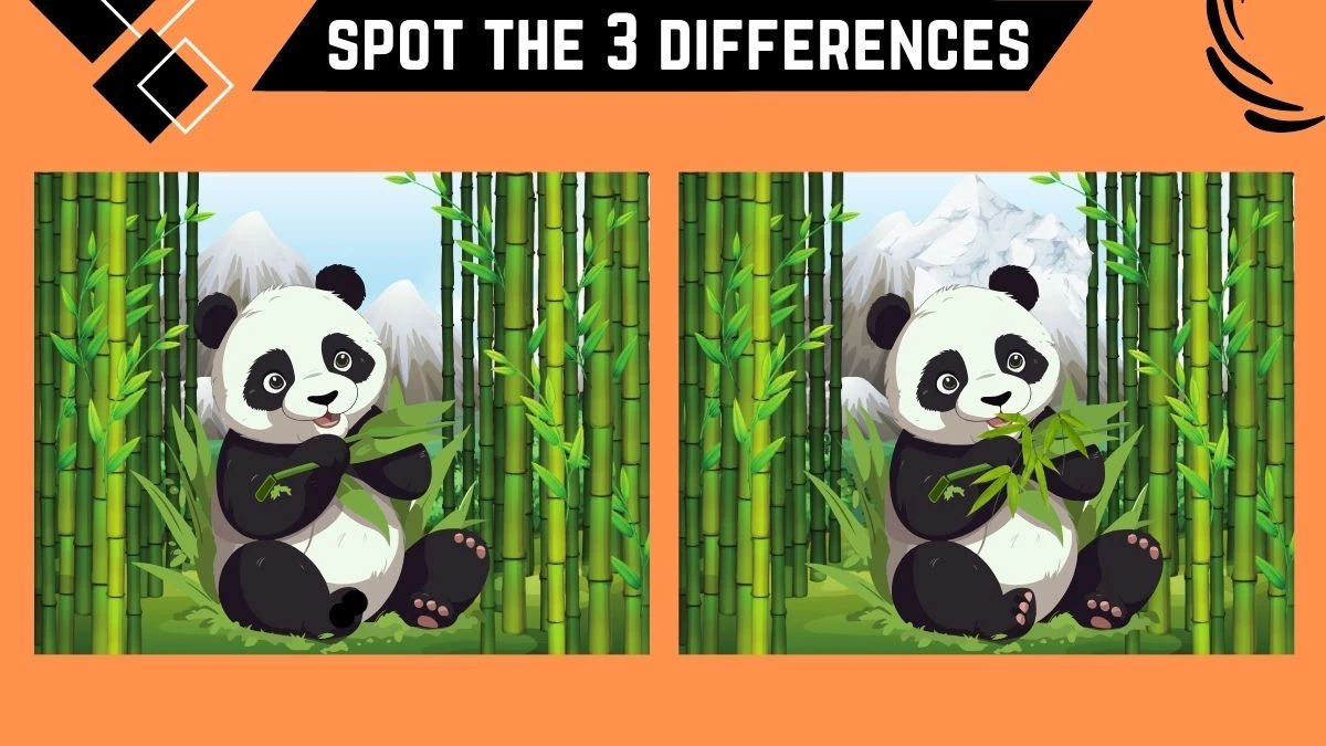 Spot the 3 Differences: Only Sharp Eyes Can Spot the 3 Differences in this Panda Image in 8 Secs