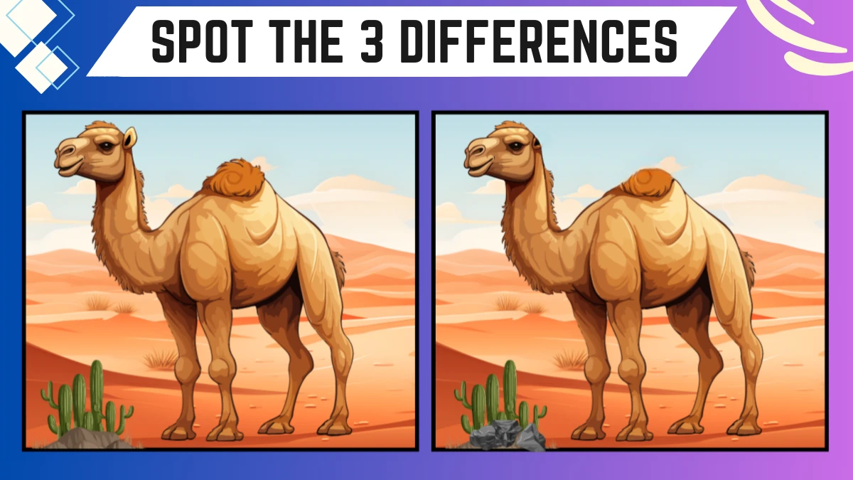 Spot the 3 Differences: Only the Sharpest Eyes Can Spot the 3 Differences in this Camel Image in 12 Secs| Picture Puzzle Game