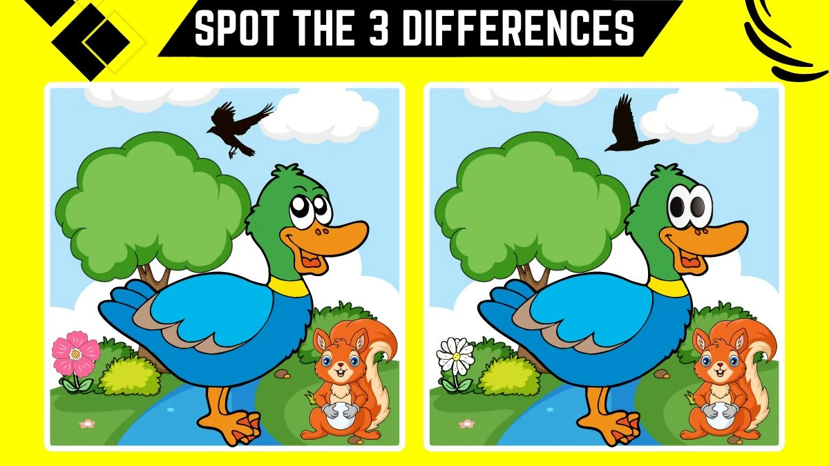 Spot the 3 Differences: Only the Sharpest Eyes Can Spot the 3 Differences in this Duck and Squirrel Image in 10 Secs| Picture Puzzle Game