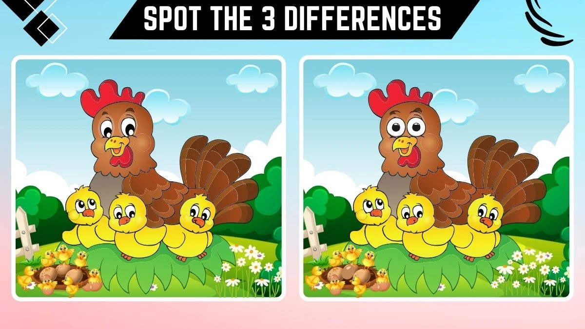 Spot the 3 Differences: Only the Sharpest Eyes Can Spot the 3 ...