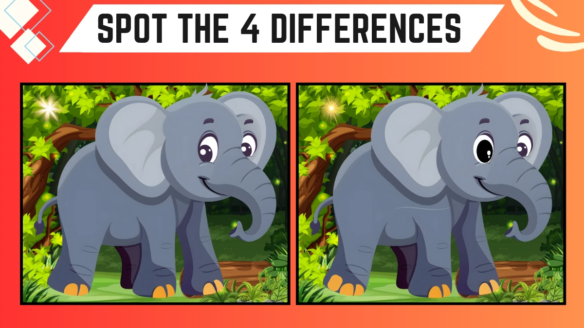 Spot the 4 Differences: Only Eagle Eyes Can Spot the 4 Differences in this Elephant Image in 10 Secs