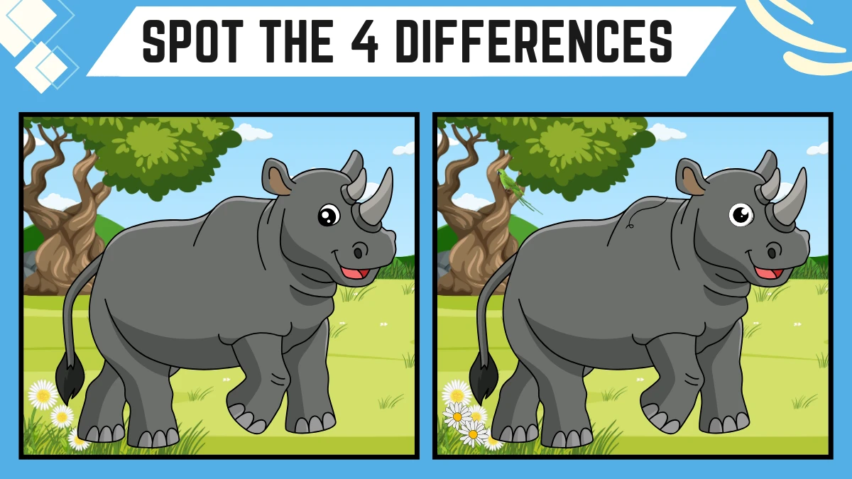 Spot the 4 Differences: Only highly attentive eyes can spot the 4 Differences in this Rhino Image in 12 Secs| Picture Puzzle Game