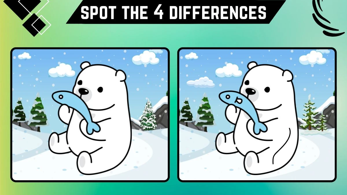 spot the 4 differences only keen observers can find the 4 differences in this panda image 6688cefd40df7279784 1200
