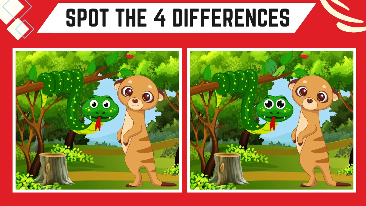 Spot the 4 Differences: Only People with 20/20 Vision People Can Spot the 4 Differences in this Snake and Mongoose Image in 15 Secs| Picture Puzzle Game