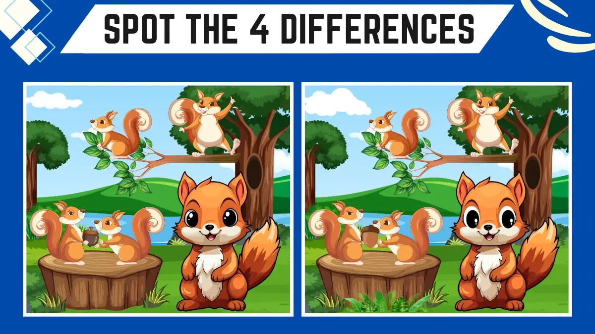 Spot the 4 Differences: Only People with 50/50 Vision Can Spot the 4 Differences in this Squirrels Image in 12 Secs| Picture Puzzle Game