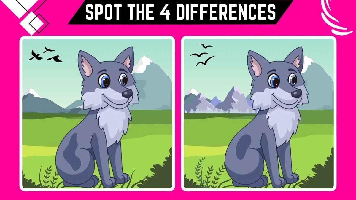 Spot the 4 Differences: Only People with Extra Sharp Eyes Can Spot the 4 Differences in this Wolf Image in 12 Secs