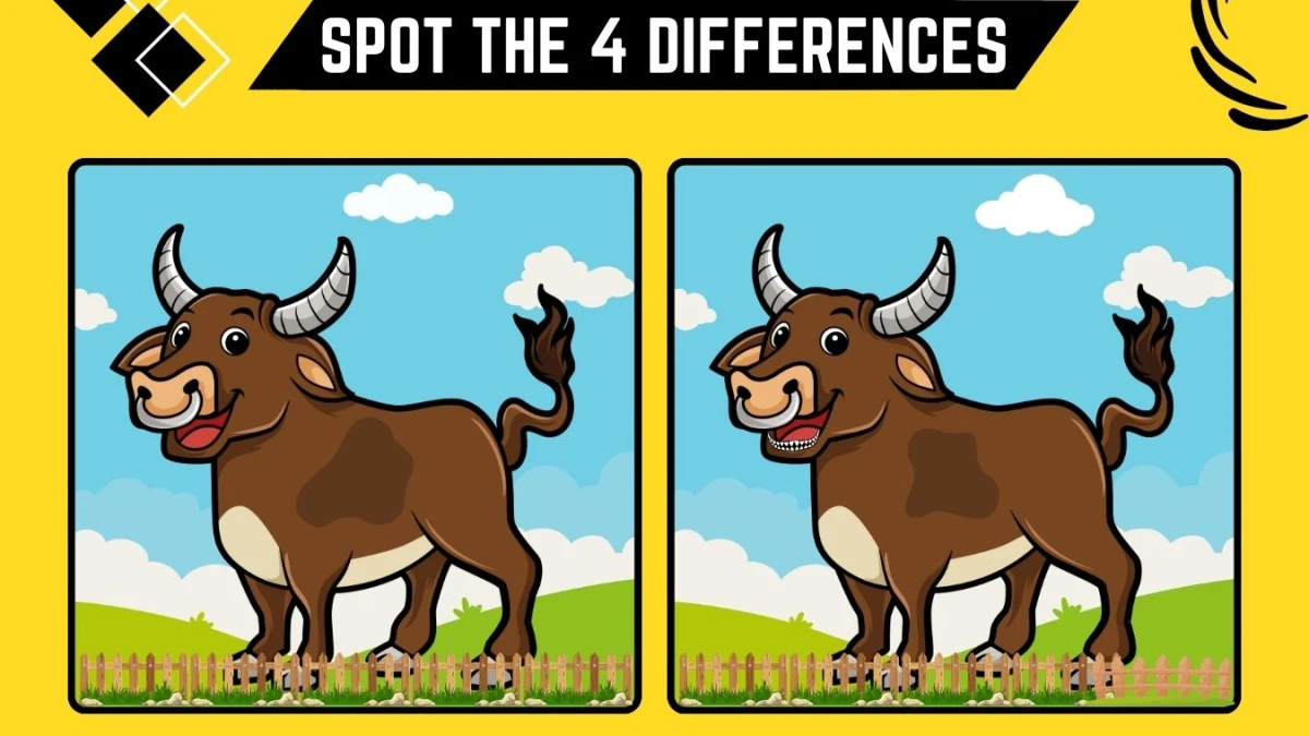 Spot the 4 Differences: Only  X-Ray vision People Can Spot the 4 Differences in this Bison Image in 10 Secs