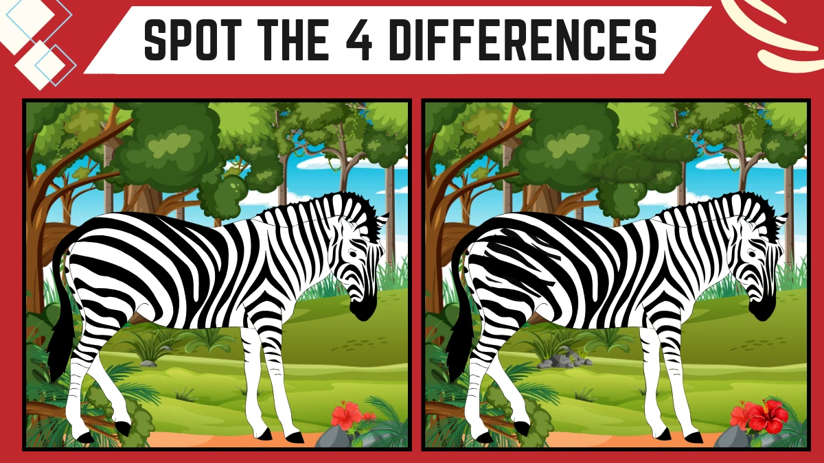 Spot the 4 Differences: Only X-Ray vision People Can Spot the 4 Differences in this Zebra Image in 10 Secs| Picture Puzzle Game