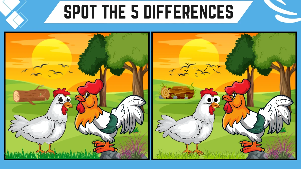 Spot the 5 Differences: Only a Genius can spot the 5 differences in this Hen and Cock Image in 15 Secs | Picture Puzzle Game