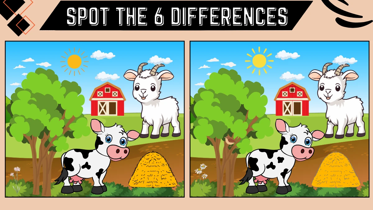 Spot the 6 Differences: Only 50/50 Vision Can Spot the 6 Differences in this Goat and Cow Image in 16 Secs | Picture Puzzle Game