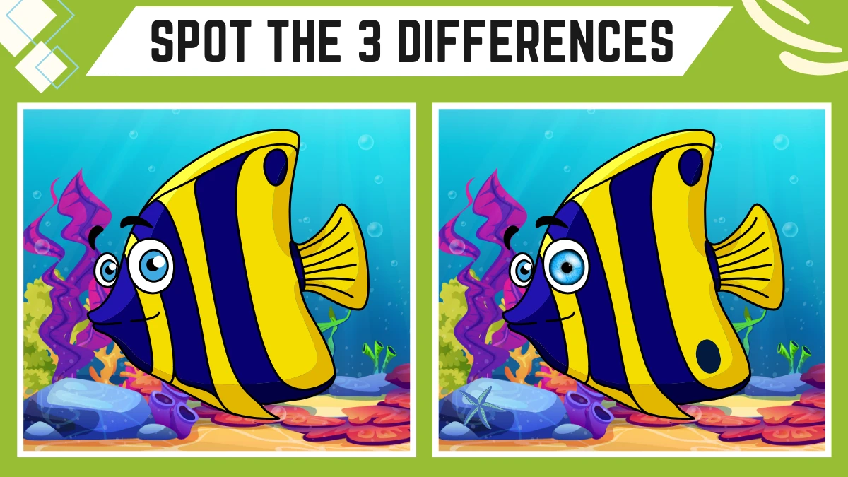 Spot the Difference Game: Only 50/50 Vision People Can Spot the 3 Differences in this Fish Image in 9 Secs