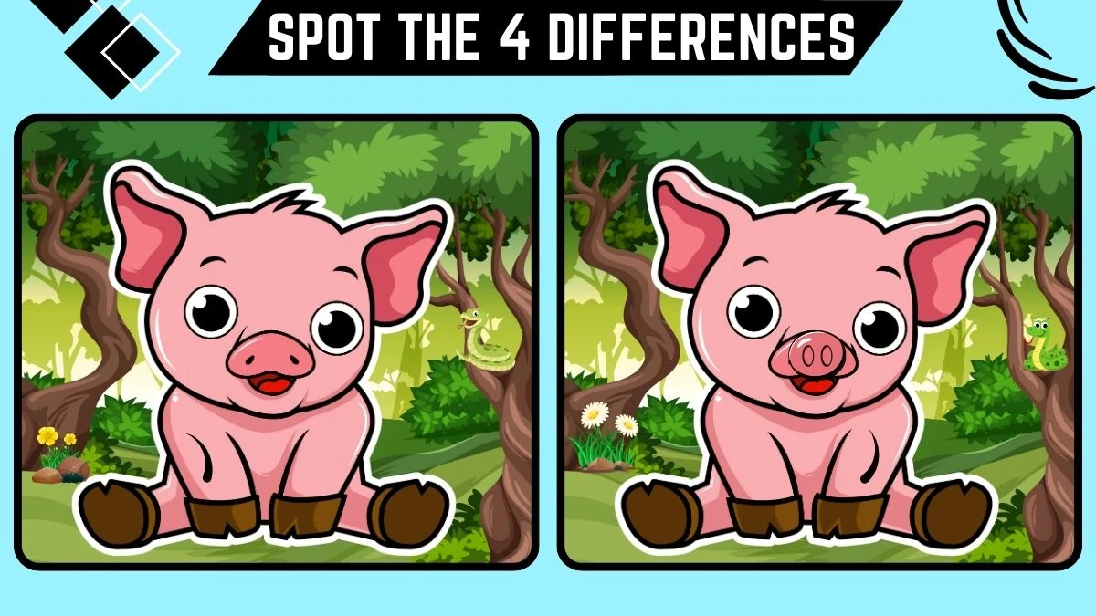 Spot the Difference Game: Only 50/50 Vision People Can Spot the 4 Differences in this Pig Image in 10 Secs