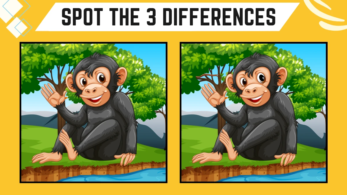 Spot the Difference Game: Only excellent vision People Can Spot the 3 Differences in this Chimpanzee Image in 10 Secs