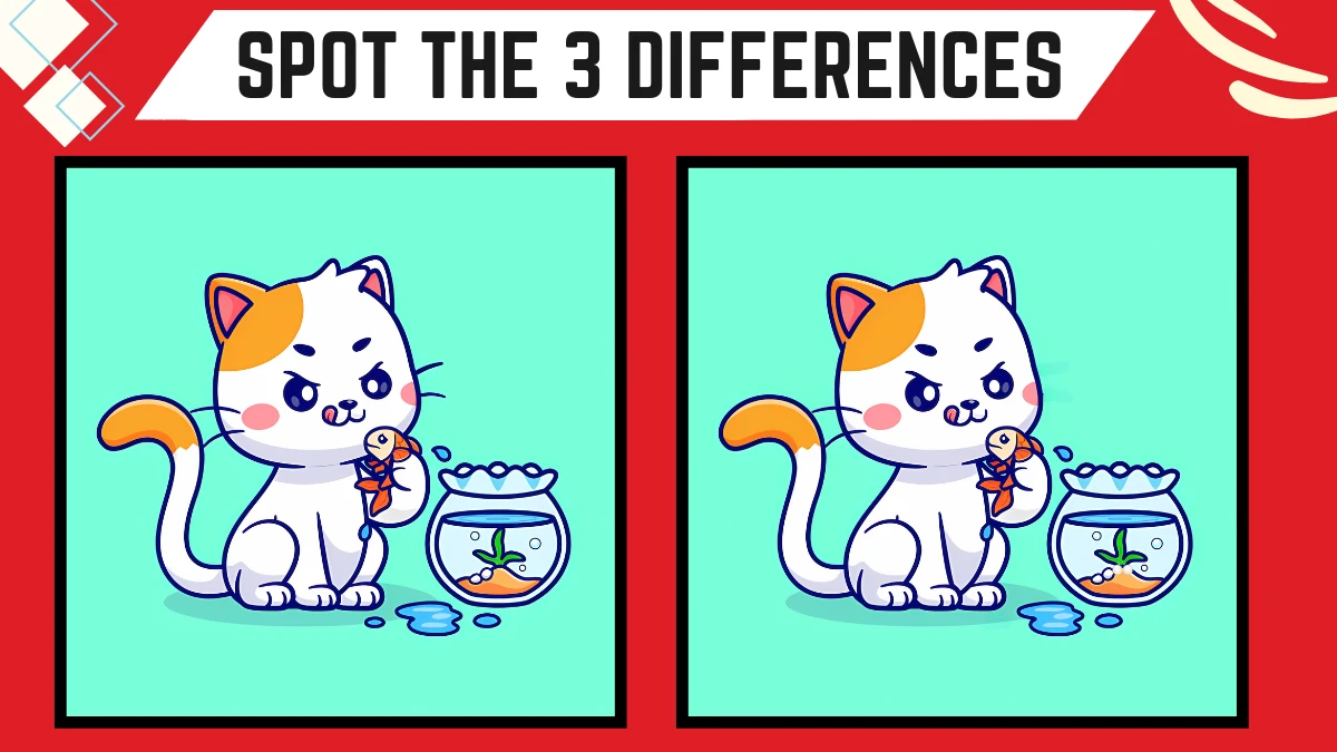 Spot the Difference Game: Only Genius with Sharp Eyes Can Spot the 3 Differences in this Cat Eating Fish Image in 9 Secs